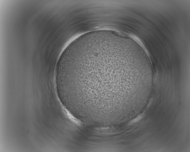 X0000078021149200611171906