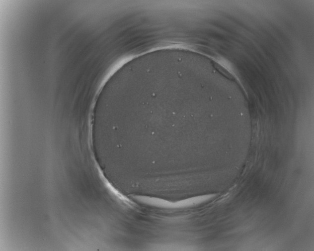 X0000078021151200611171906