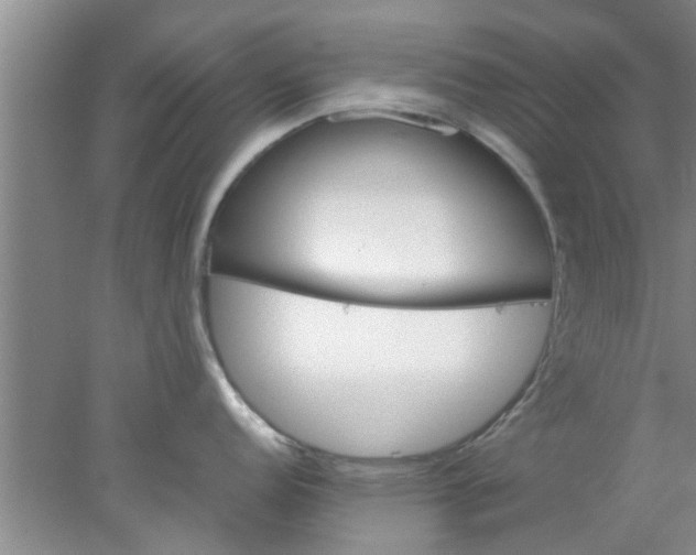 X0000078021152200611171906