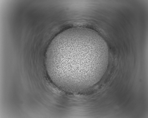 X0000078021153200611171905