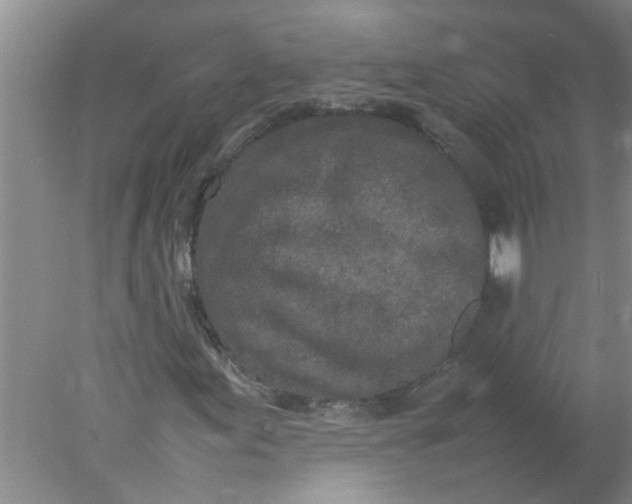 X0000078021155200611171905