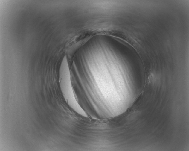 X0000078021156200611171905