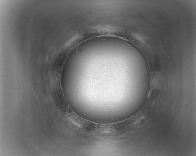 X0000078021157200611171905