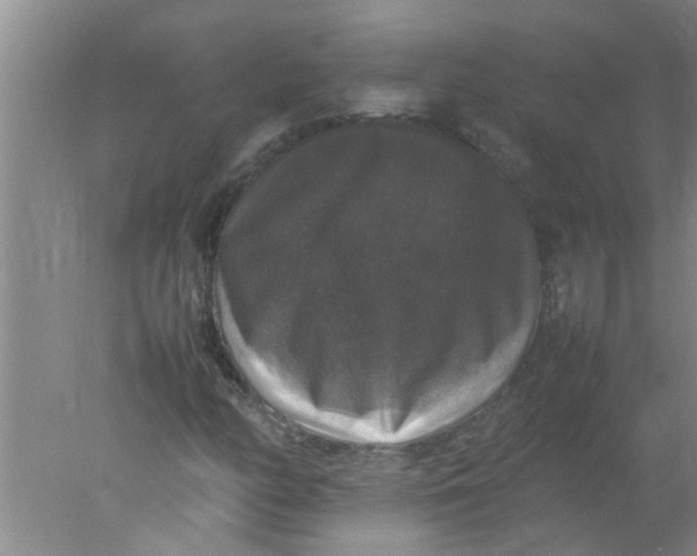 X0000078021158200611171905