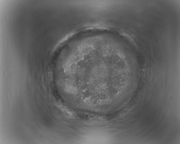 X0000078021159200611171905