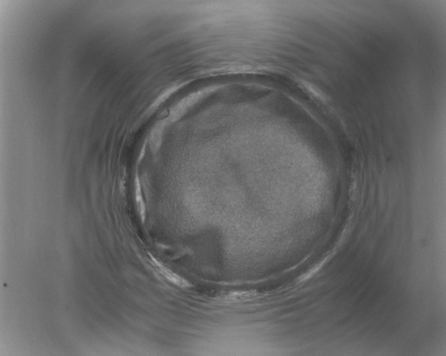 X0000078021161200611171905