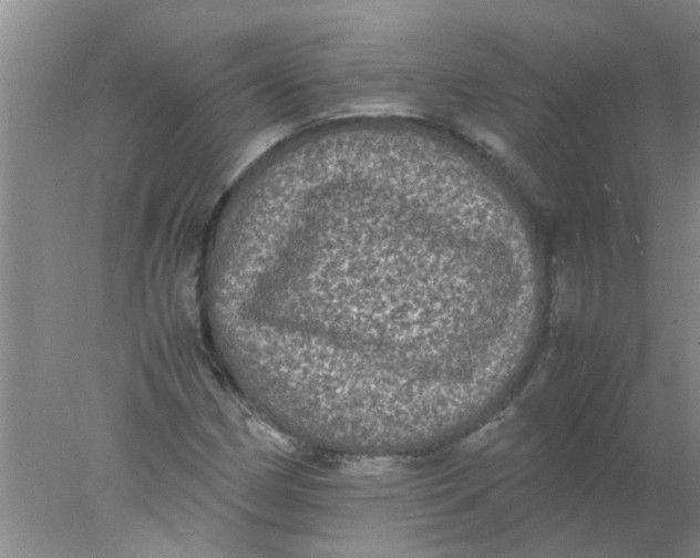 X0000078021162200611171905