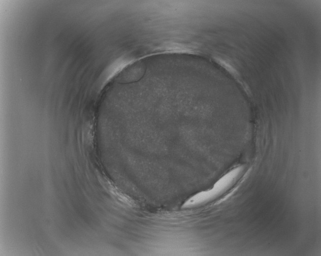 X0000078021163200611171905