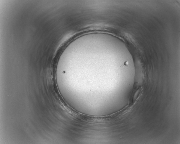 X0000078021164200611171905