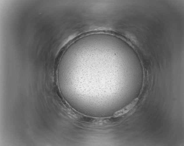 X0000078021165200611171905