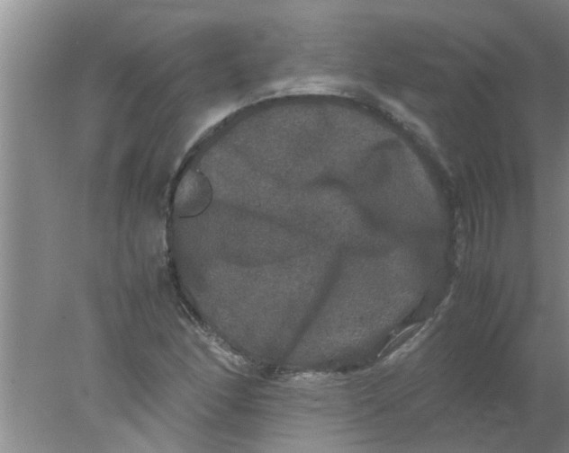 X0000078021166200611171905