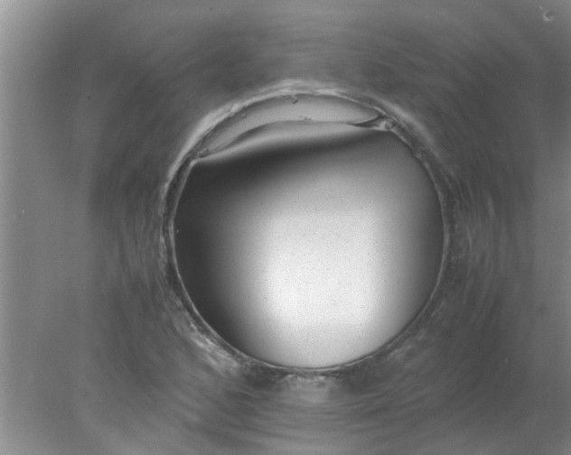 X0000078021168200611171905