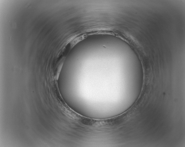 X0000078021169200611171905