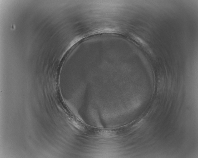 X0000078021170200611171905