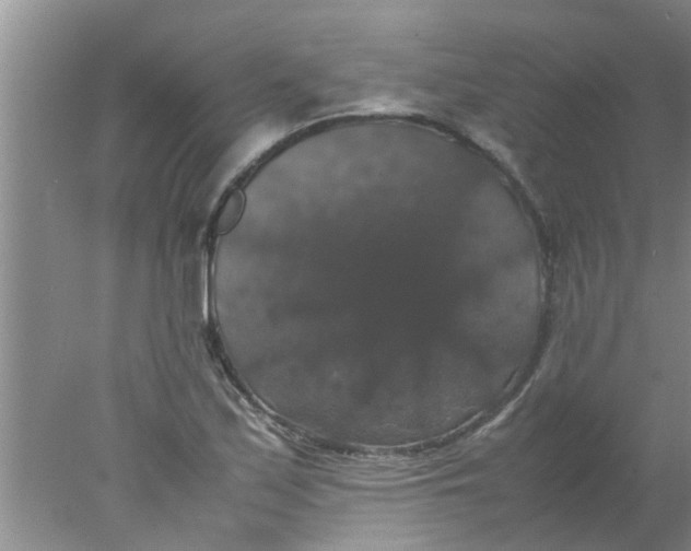 X0000078021171200611171905