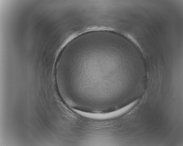 X0000078021173200611171905