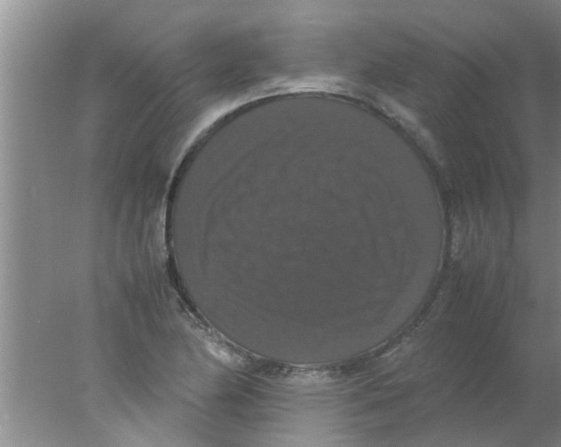 X0000078021174200611171905