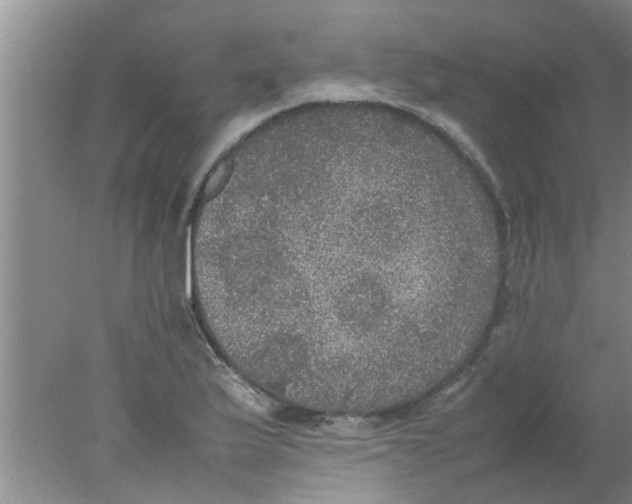 X0000078021175200611171905