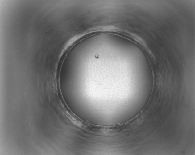 X0000078021176200611171905