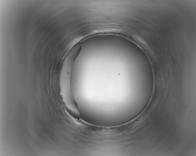 X0000078021177200611171905