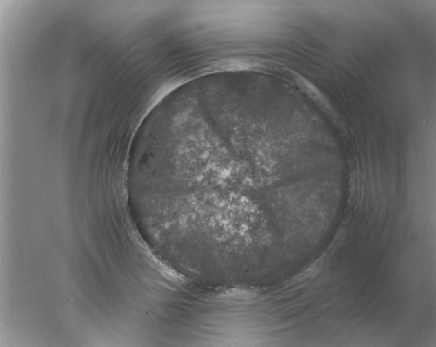 X0000078021178200611171905