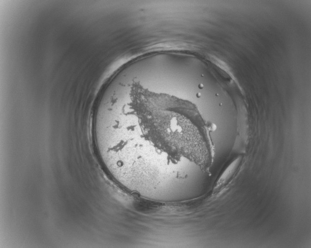 X0000078021179200611171905