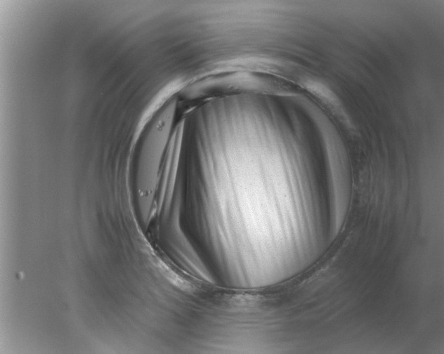 X0000078021180200611171905