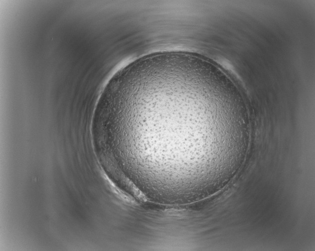 X0000078021181200611171905