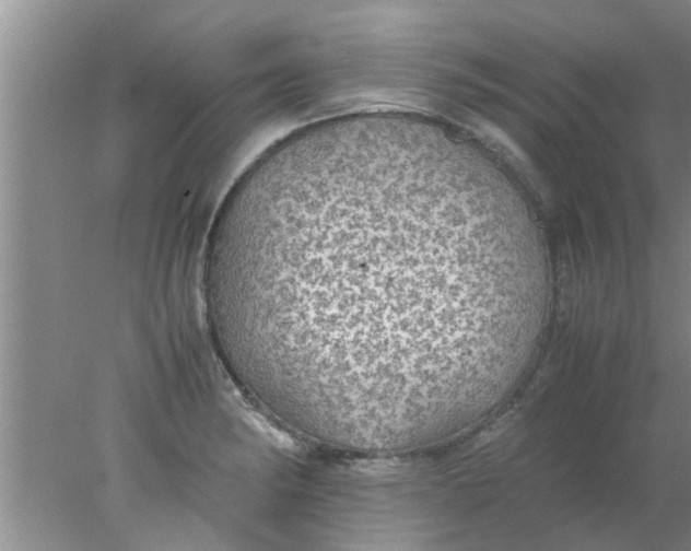 X0000078021182200611171905