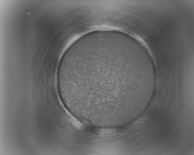 X0000078021183200611171905