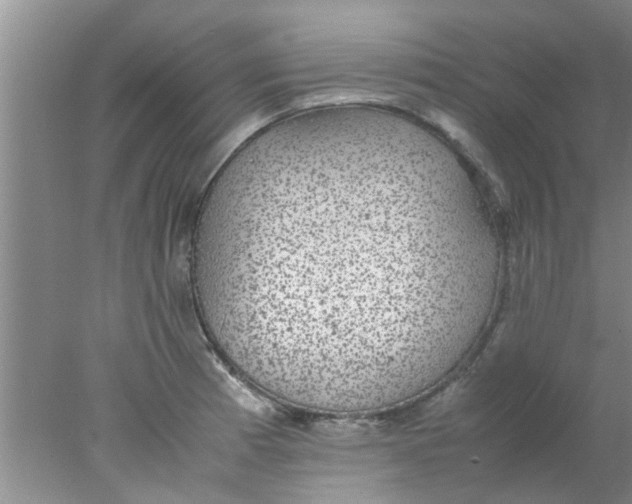 X0000078021185200611171905