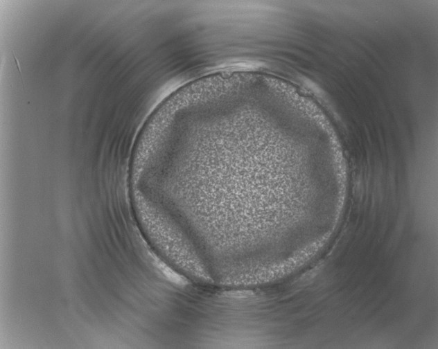 X0000078021186200611171905