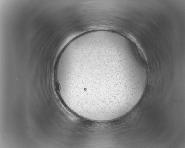 X0000078021187200611171905