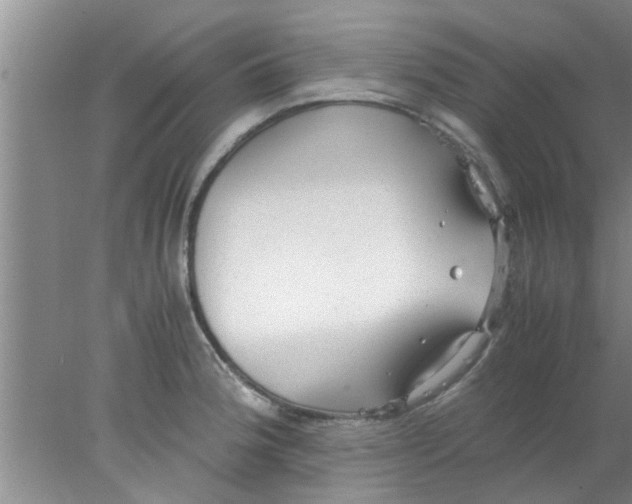 X0000078021188200611171905