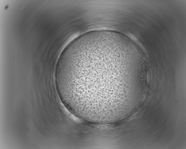 X0000078021189200611171905