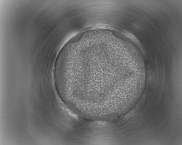 X0000078021190200611171905