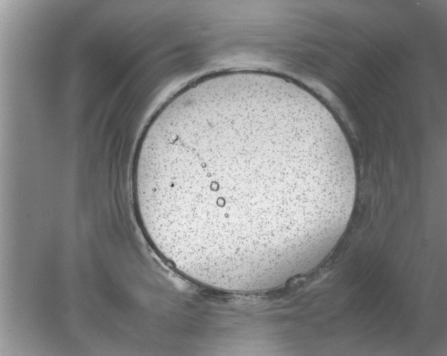 X0000078021191200611171905