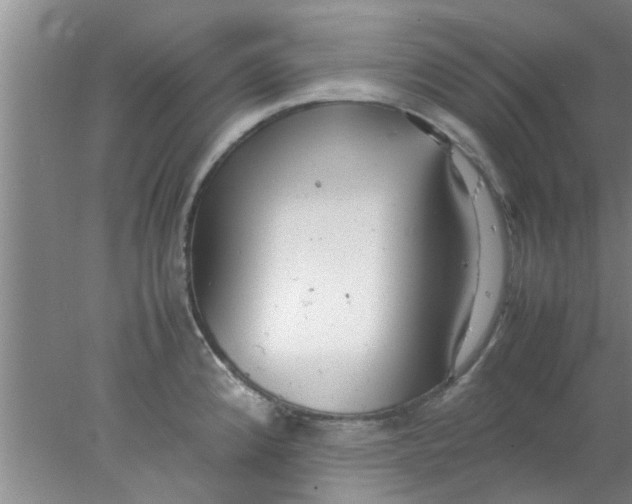 X0000078021192200611171905