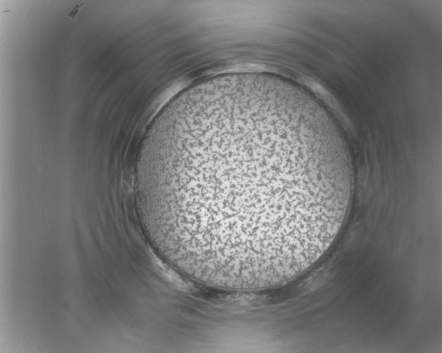 X0000078021193200611171905