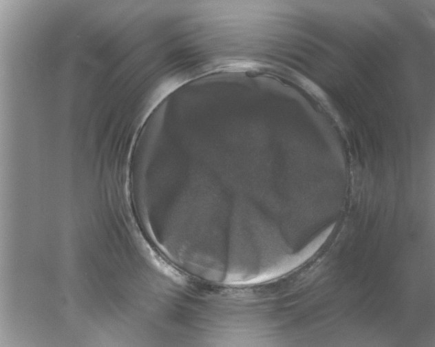 X0000078021194200611171905