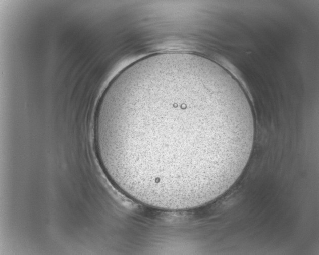 X0000078021195200611171905