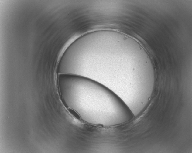 X0000078021196200611171905