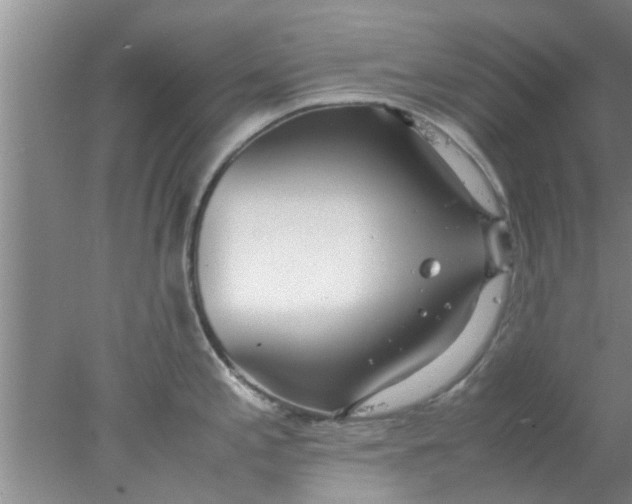 X0000078021197200611171905