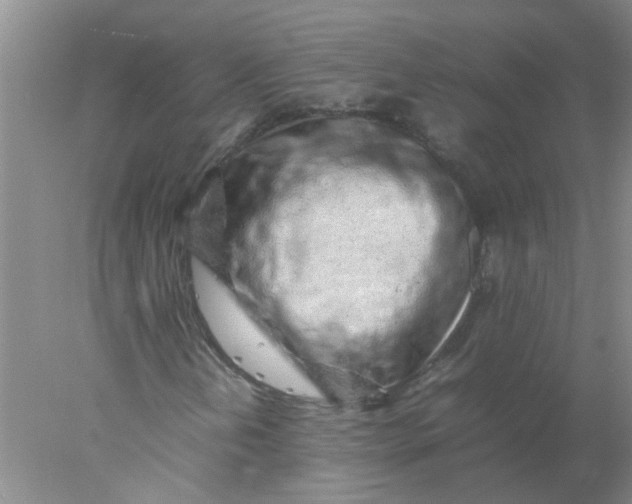 X0000078021202200611171904