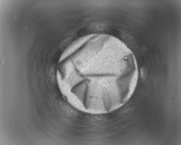 X0000078021203200611171904