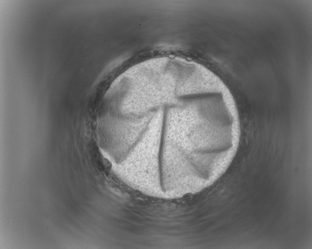 X0000078021207200611171904