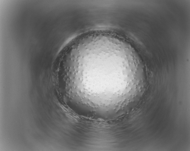 X0000078021208200611171904