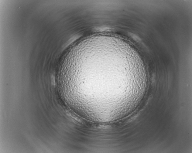 X0000078021209200611171904