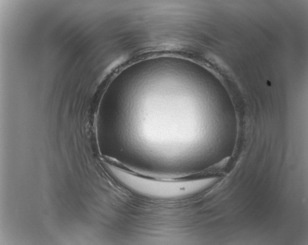 X0000078021210200611171904