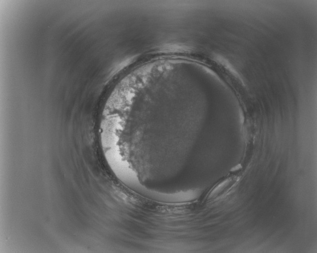 X0000078021213200611171904